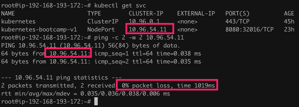 ping_cluster_ip